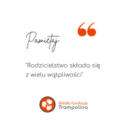 images/thumbsgallery/lodzka_fundacja_trampolina_9.png